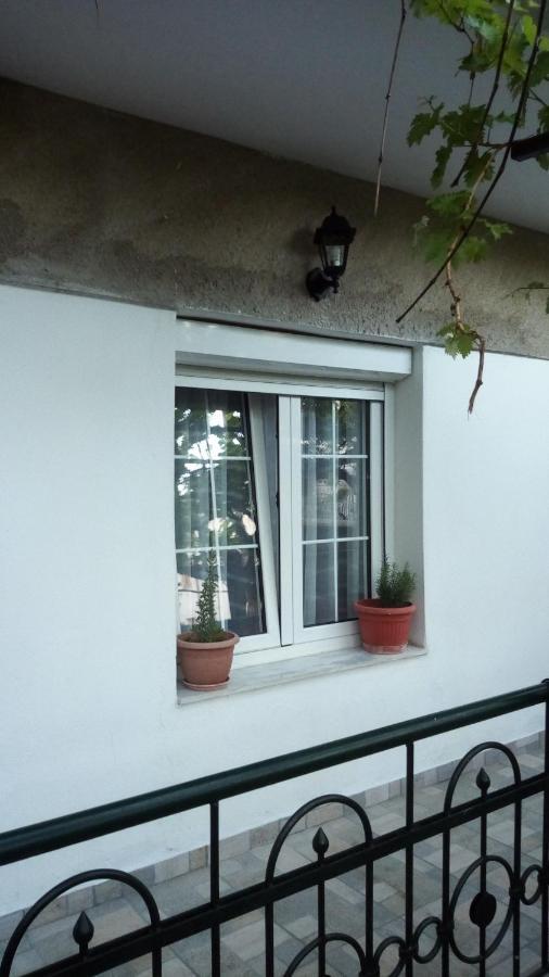 Big Apartment Near Olympus Mountain Λιτόχωρο Εξωτερικό φωτογραφία
